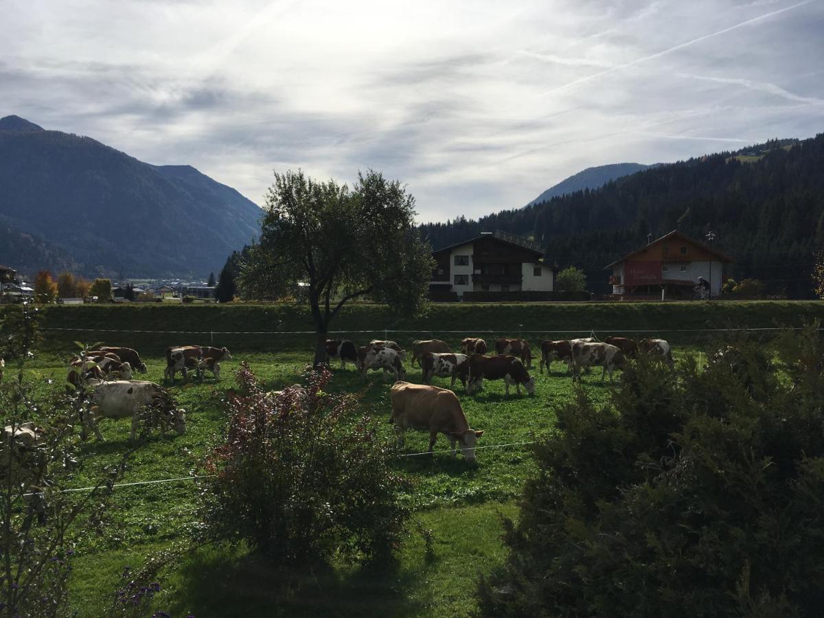 Scharfetthof Villa Flachau Exterior photo